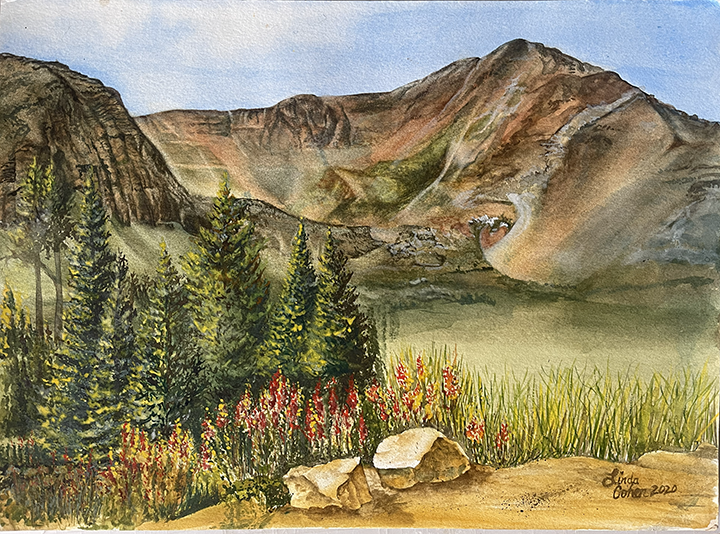 View from the Side of the Road